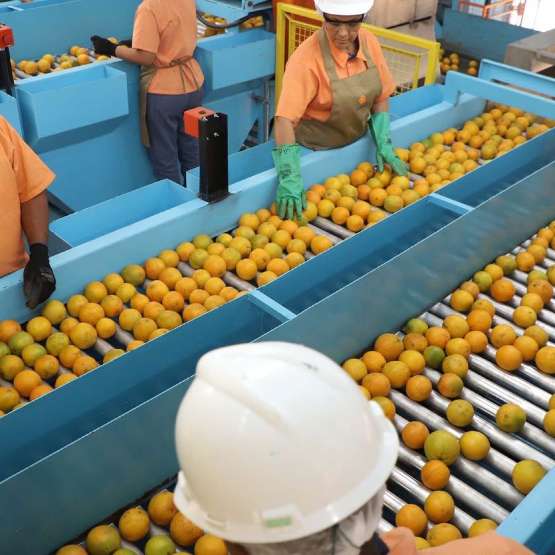 Confira a lista de quase 700 produtos que não serão
