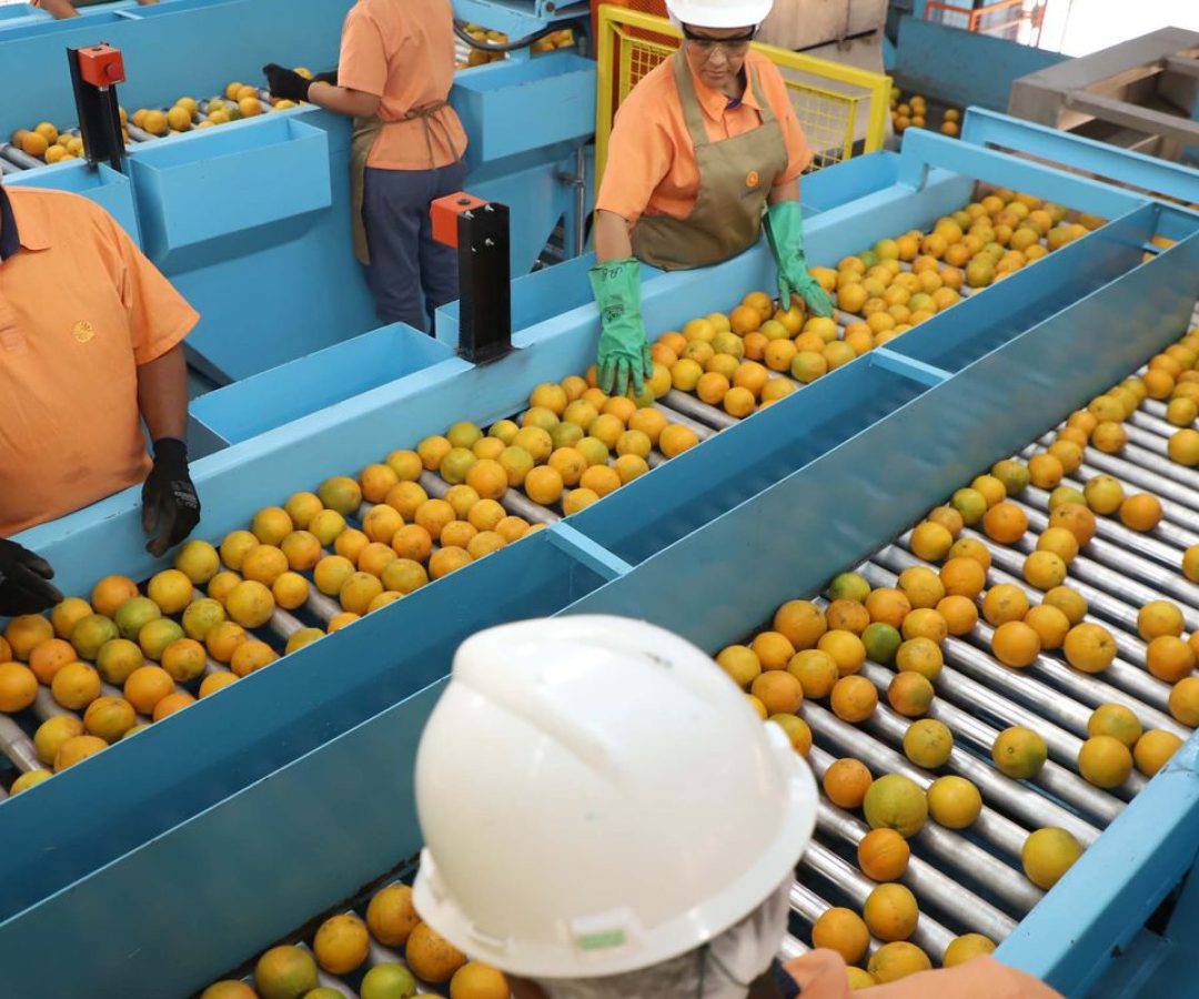 Confira a lista de quase 700 produtos que não serão